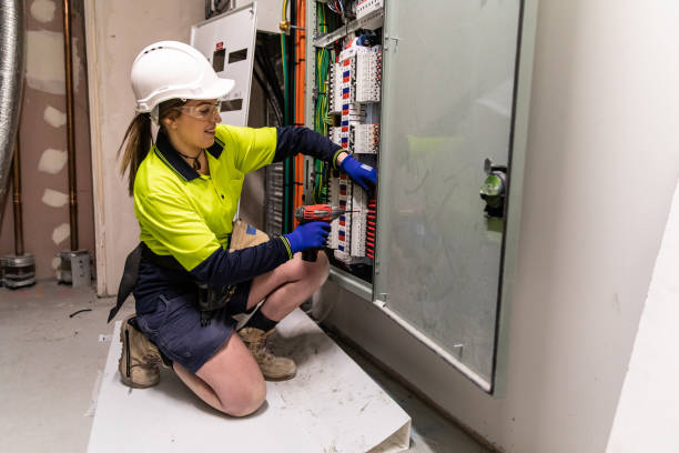 Best Affordable Electrician  in Toro Nyon, CA